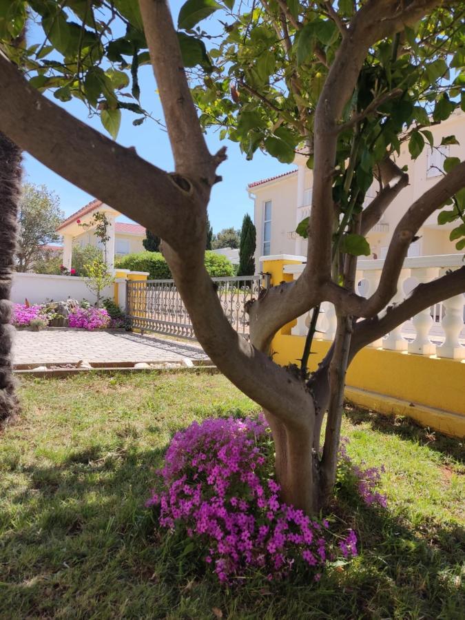 Apartman Car Vir Esterno foto